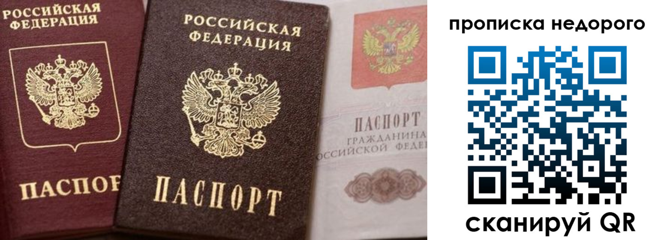 временная регистрация надежно в Камчатском крае